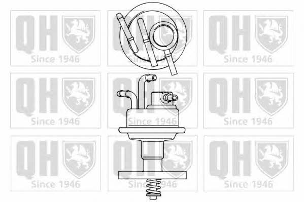 Quinton Hazell QFP296 Fuel pump QFP296: Buy near me in Poland at 2407.PL - Good price!