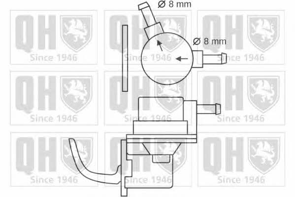 Quinton Hazell QFP32 Fuel pump QFP32: Buy near me in Poland at 2407.PL - Good price!