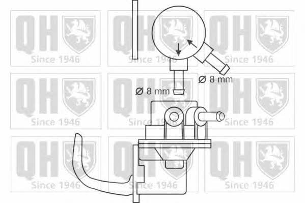 Quinton Hazell QFP33 Fuel pump QFP33: Buy near me in Poland at 2407.PL - Good price!
