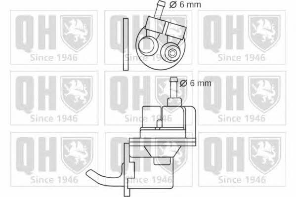 Quinton Hazell QFP37 Fuel pump QFP37: Buy near me in Poland at 2407.PL - Good price!