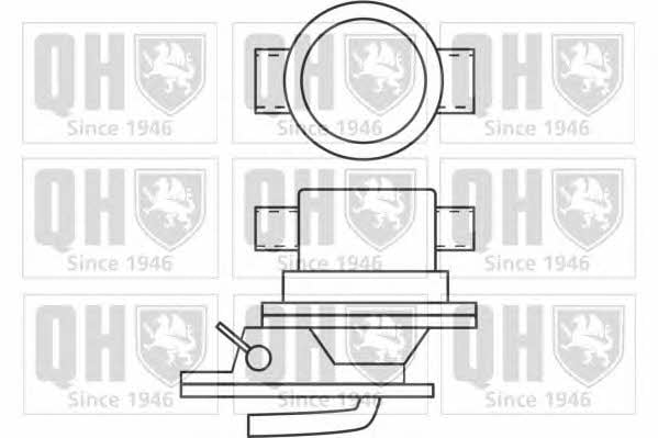 Quinton Hazell QFP505 Fuel pump QFP505: Buy near me in Poland at 2407.PL - Good price!