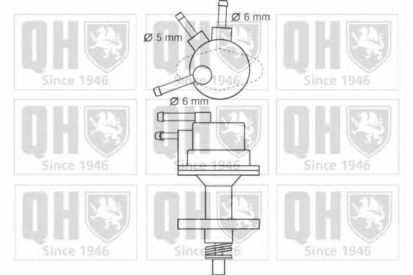 Quinton Hazell QFP53 Kraftstoffpumpe QFP53: Kaufen Sie zu einem guten Preis in Polen bei 2407.PL!