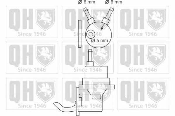 Quinton Hazell QFP55 Fuel pump QFP55: Buy near me at 2407.PL in Poland at an Affordable price!