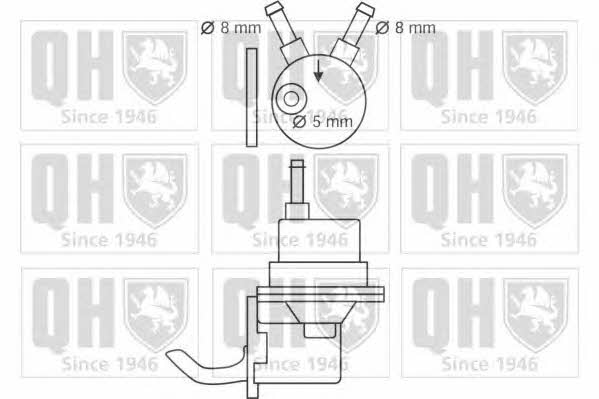 Quinton Hazell QFP56 Fuel pump QFP56: Buy near me in Poland at 2407.PL - Good price!