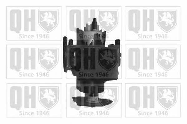 Quinton Hazell QFP619 Fuel pump QFP619: Buy near me in Poland at 2407.PL - Good price!