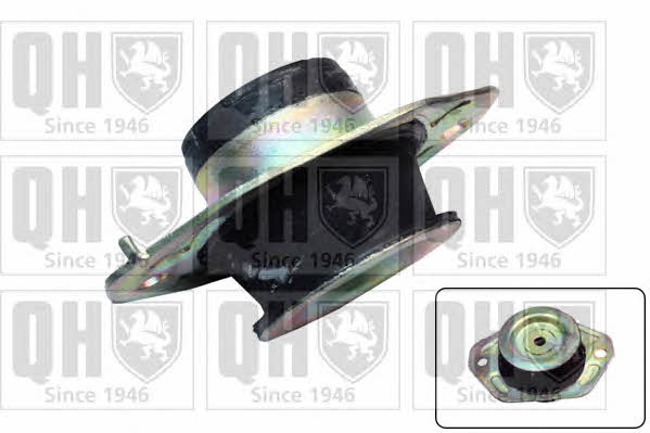 Quinton Hazell EM4605 Gearbox mount EM4605: Buy near me in Poland at 2407.PL - Good price!
