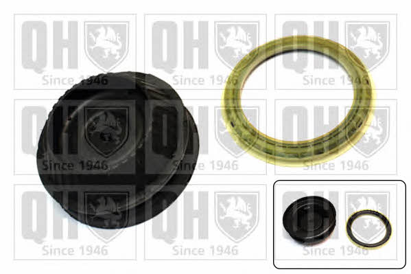 Quinton Hazell EMA6024 Strut bearing with bearing kit EMA6024: Buy near me at 2407.PL in Poland at an Affordable price!