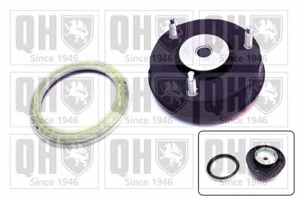 Quinton Hazell EMA6083 Strut bearing with bearing kit EMA6083: Buy near me in Poland at 2407.PL - Good price!