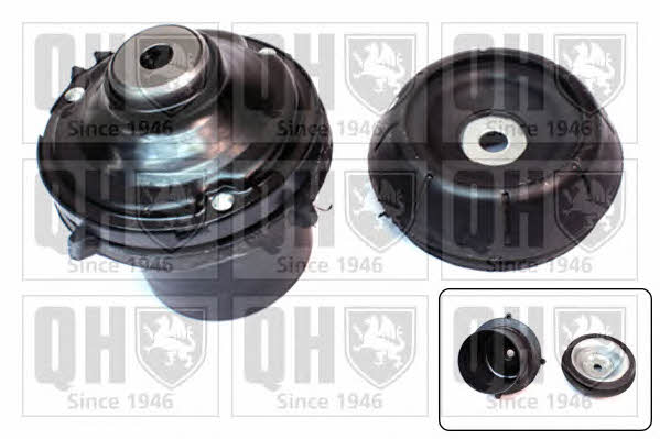 Quinton Hazell EMA1841 Strut bearing with bearing kit EMA1841: Buy near me in Poland at 2407.PL - Good price!