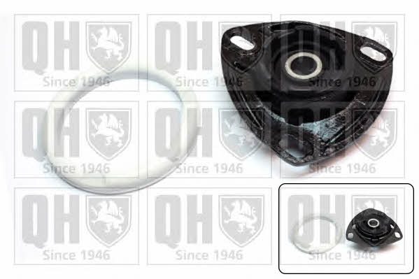 Quinton Hazell EMA1924 Strut bearing with bearing kit EMA1924: Buy near me at 2407.PL in Poland at an Affordable price!