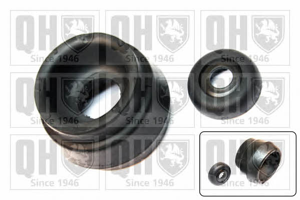 Quinton Hazell EMA2334 Strut bearing with bearing kit EMA2334: Buy near me at 2407.PL in Poland at an Affordable price!