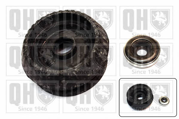 Quinton Hazell EMA6006 Strut bearing with bearing kit EMA6006: Buy near me in Poland at 2407.PL - Good price!