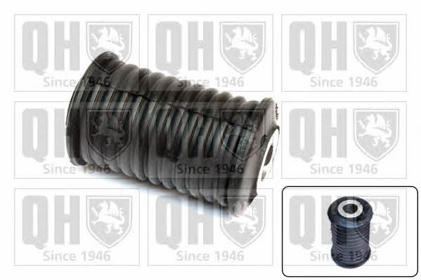 Quinton Hazell EMS8494 Silentblock springs EMS8494: Buy near me in Poland at 2407.PL - Good price!