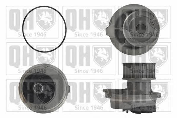 Quinton Hazell QCP3613 Water pump QCP3613: Buy near me at 2407.PL in Poland at an Affordable price!