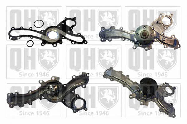 Quinton Hazell QCP3684 Water pump QCP3684: Buy near me in Poland at 2407.PL - Good price!