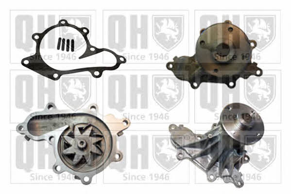 Quinton Hazell QCP3687 Water pump QCP3687: Buy near me in Poland at 2407.PL - Good price!