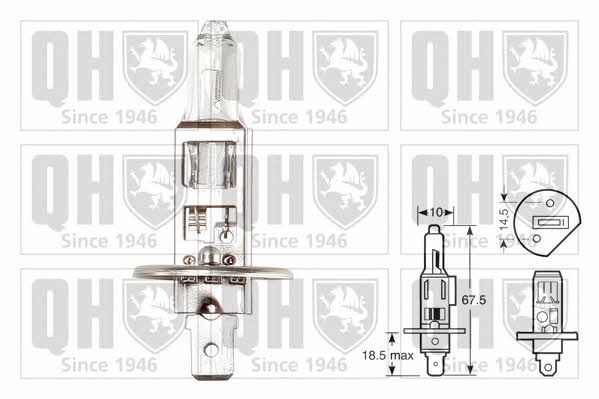 Quinton Hazell QBL448 Лампа галогенная 12В H1 55Вт QBL448: Отличная цена - Купить в Польше на 2407.PL!