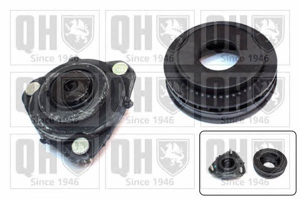 Quinton Hazell EMA6123 Strut bearing with bearing kit EMA6123: Buy near me in Poland at 2407.PL - Good price!