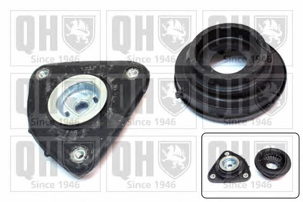 Quinton Hazell EMA6124 Strut bearing with bearing kit EMA6124: Buy near me in Poland at 2407.PL - Good price!