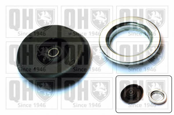 Quinton Hazell EMA6119 Strut bearing with bearing kit EMA6119: Buy near me in Poland at 2407.PL - Good price!