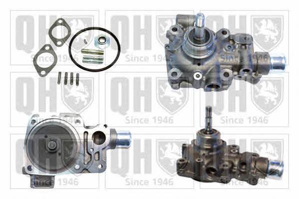 Quinton Hazell QCP3819 Water pump QCP3819: Buy near me in Poland at 2407.PL - Good price!
