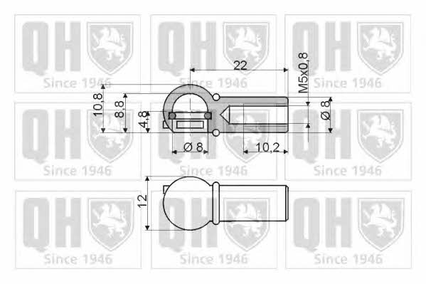 Quinton Hazell QTS128261 Gas Spring, boot-/cargo area QTS128261: Buy near me at 2407.PL in Poland at an Affordable price!