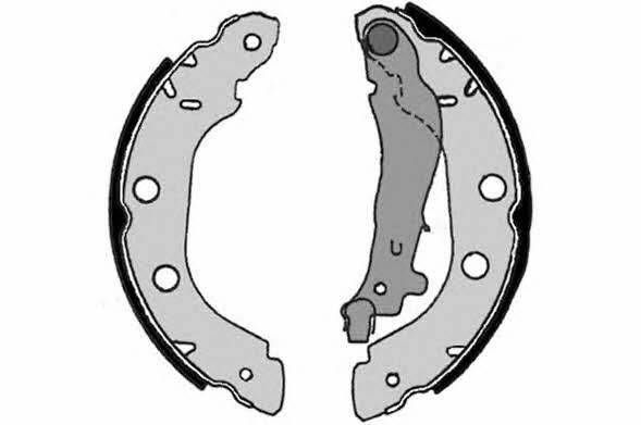 Raicam 7359RP Parking brake shoes 7359RP: Buy near me in Poland at 2407.PL - Good price!