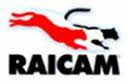 Raicam 7455RP Parking brake shoes 7455RP: Buy near me in Poland at 2407.PL - Good price!
