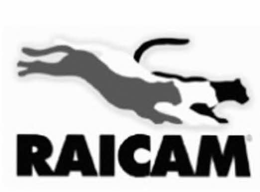 Raicam 7490RP Parking brake shoes 7490RP: Buy near me at 2407.PL in Poland at an Affordable price!