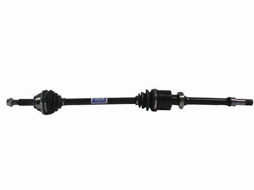 RCA France AF437AN Drive shaft AF437AN: Buy near me at 2407.PL in Poland at an Affordable price!