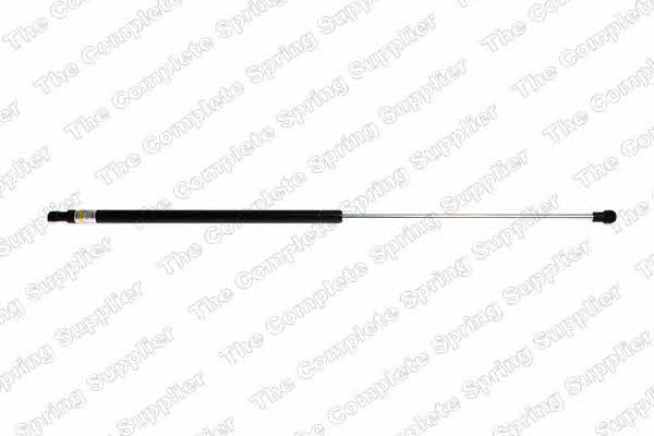 ROC GS0978 Gas hood spring GS0978: Buy near me in Poland at 2407.PL - Good price!
