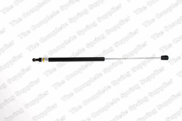 ROC GS0119 Gas hood spring GS0119: Buy near me in Poland at 2407.PL - Good price!