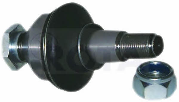 Rota 2021061 Ball joint 2021061: Buy near me in Poland at 2407.PL - Good price!
