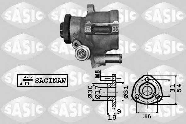 Sasic 7076021 Hydraulic Pump, steering system 7076021: Buy near me in Poland at 2407.PL - Good price!