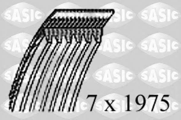 Sasic 1774065 Pasek klinowy wielorowkowy 1774065: Dobra cena w Polsce na 2407.PL - Kup Teraz!