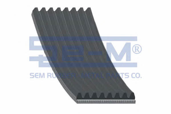 Se-m 10319 V-Ribbed Belt 10319: Buy near me at 2407.PL in Poland at an Affordable price!