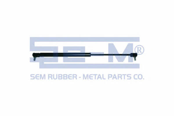 Se-m 9729 Gas Spring, boot-/cargo area 9729: Buy near me in Poland at 2407.PL - Good price!