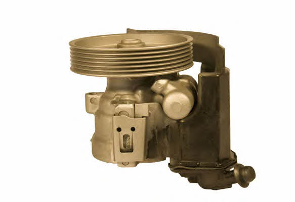 Sercore 07B495DA Hydraulic Pump, steering system 07B495DA: Buy near me in Poland at 2407.PL - Good price!
