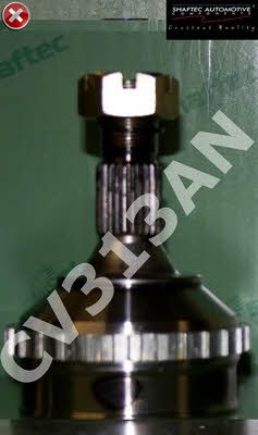 Shaftec CV313AN CV joint CV313AN: Buy near me in Poland at 2407.PL - Good price!