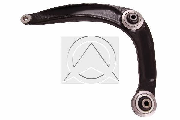Sidem 53874 Track Control Arm 53874: Buy near me in Poland at 2407.PL - Good price!