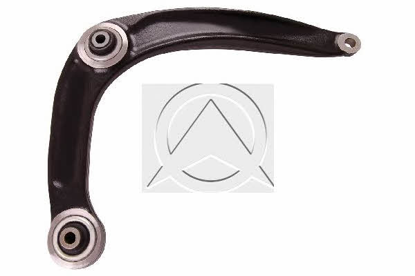 Sidem 53875 Track Control Arm 53875: Buy near me in Poland at 2407.PL - Good price!