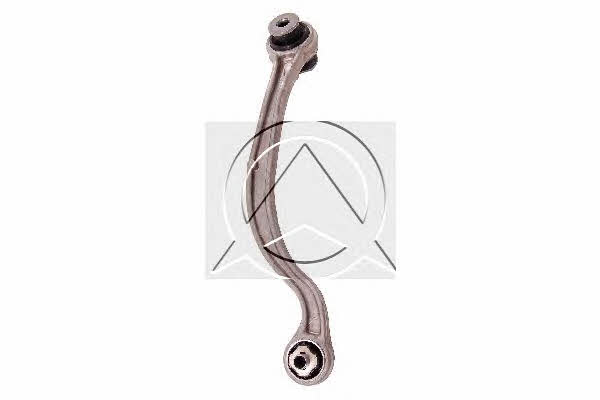 Sidem 53979 Track Control Arm 53979: Buy near me in Poland at 2407.PL - Good price!