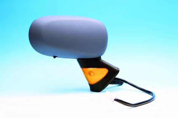 SPJ E-2224 Rearview mirror external right E2224: Buy near me in Poland at 2407.PL - Good price!