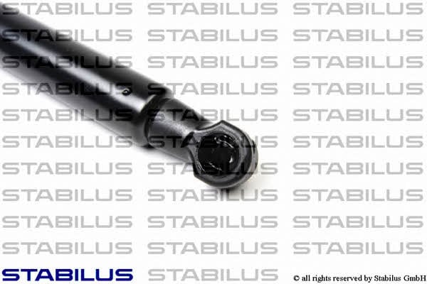 Stabilus 034116 Gas Spring, boot-/cargo area 034116: Buy near me in Poland at 2407.PL - Good price!