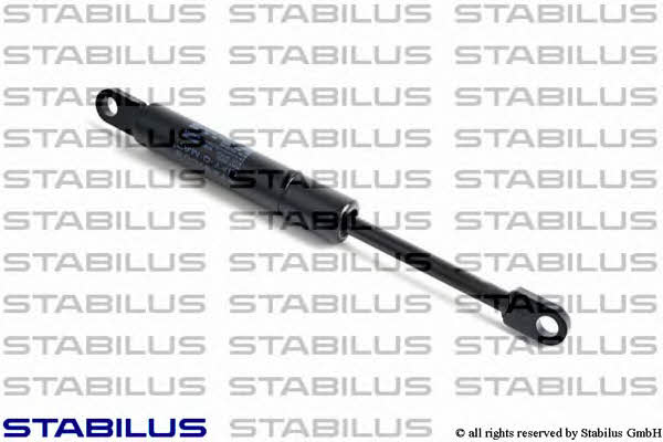 Kaufen Sie Stabilus 2104VI zu einem günstigen Preis in Polen!
