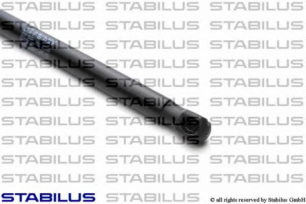 Stabilus 1757VK Gas Spring, boot-/cargo area 1757VK: Buy near me in Poland at 2407.PL - Good price!