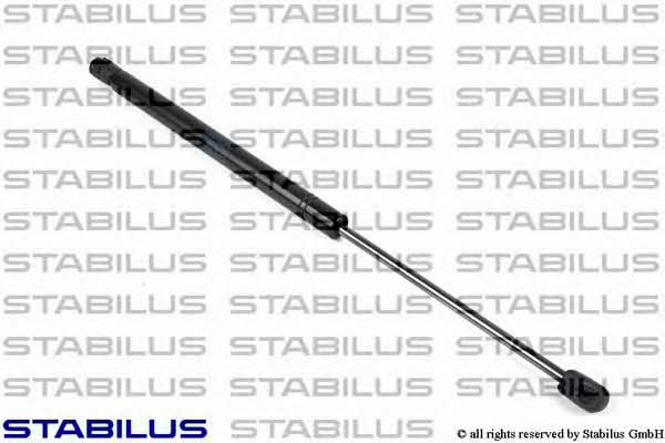 Stabilus 2874GE Gas Spring, boot-/cargo area 2874GE: Buy near me in Poland at 2407.PL - Good price!