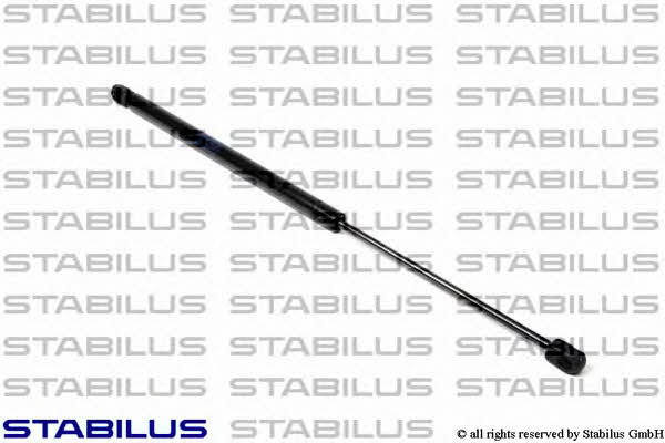 Kaufen Sie Stabilus 549715 zu einem günstigen Preis in Polen!