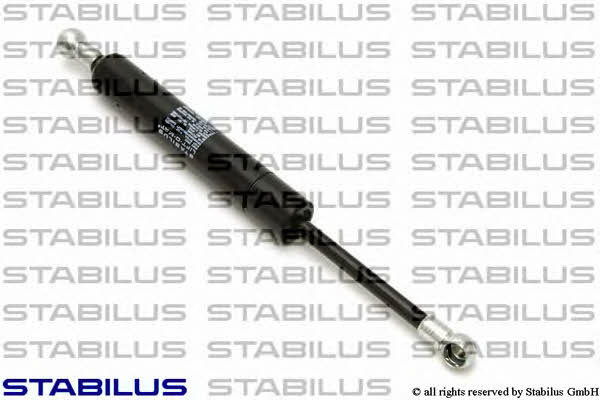 Stabilus 5768ZF Gas Spring, boot-/cargo area 5768ZF: Buy near me in Poland at 2407.PL - Good price!