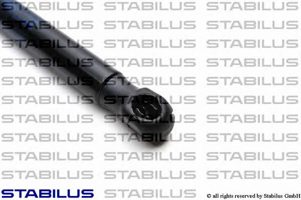 Stabilus 7958RN Gas Spring, boot-/cargo area 7958RN: Buy near me in Poland at 2407.PL - Good price!